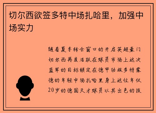 切尔西欲签多特中场扎哈里，加强中场实力