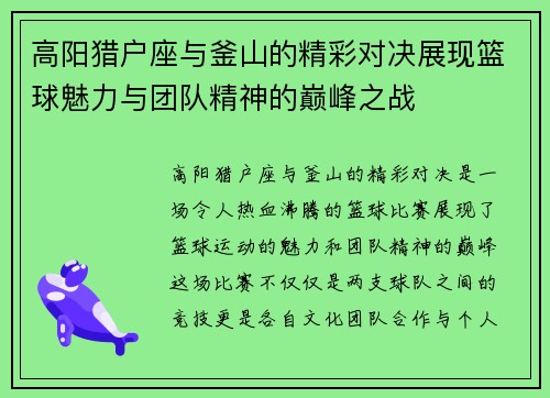 高阳猎户座与釜山的精彩对决展现篮球魅力与团队精神的巅峰之战
