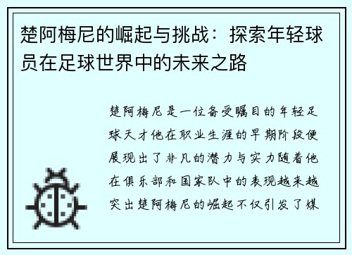 楚阿梅尼的崛起与挑战：探索年轻球员在足球世界中的未来之路
