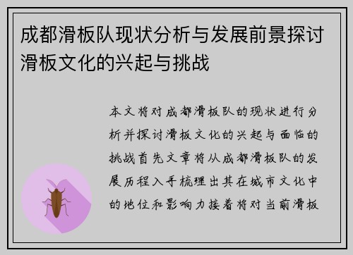 成都滑板队现状分析与发展前景探讨滑板文化的兴起与挑战